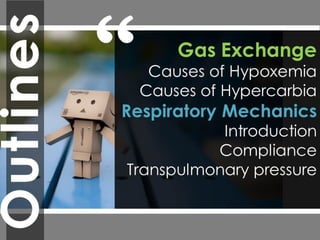 respiratory physiology, 
