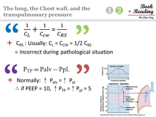 respiratory physiology, 