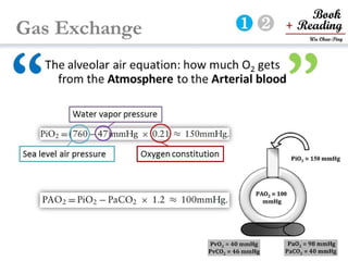 respiratory physiology, 