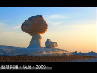 respiratory physiology, 