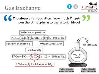respiratory physiology, 