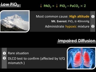 respiratory physiology, 
