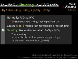 respiratory physiology, 