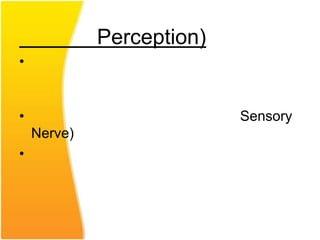 Perception)
•


•                          Sensory
    Nerve)
•
 