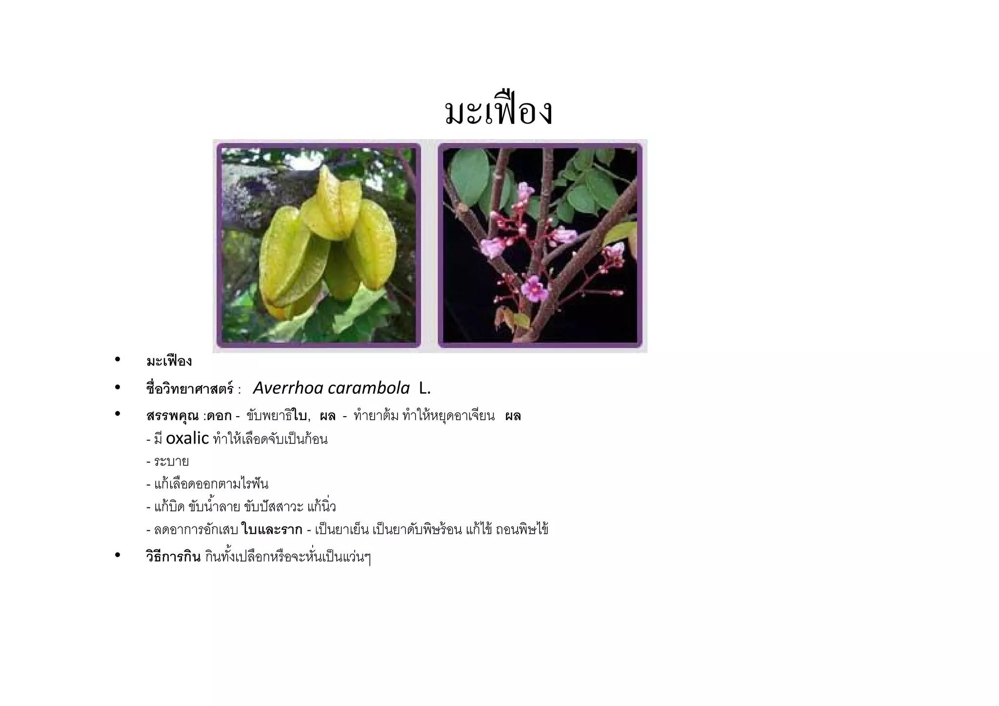 มะเฟื อง



•   มะเฟื อง
•   ชือวิทยาศาสตร์ : Averrhoa carambola L.
•   สรรพคุณ :ดอก - ขับพยาธิใบ, ผล - ทํายาต้ ม ทําให้ หยุดอาเจียน ผล
    - มี oxalic ทําให้ เลือดจับเป็ นก้ อน
    - ระบาย
    - แก้ เลือดออกตามไรฟั น
    - แก้ บิด ขับนําลาย ขับปั สสาวะ แก้ นิว
    - ลดอาการอักเสบ ใบและราก - เป็ นยาเย็น เป็ นยาดับพิษร้ อน แก้ ไข้ ถอนพิษไข้
•   วิธีการกิน กินทังเปลือกหรือจะหันเป็ นแว่นๆ
 