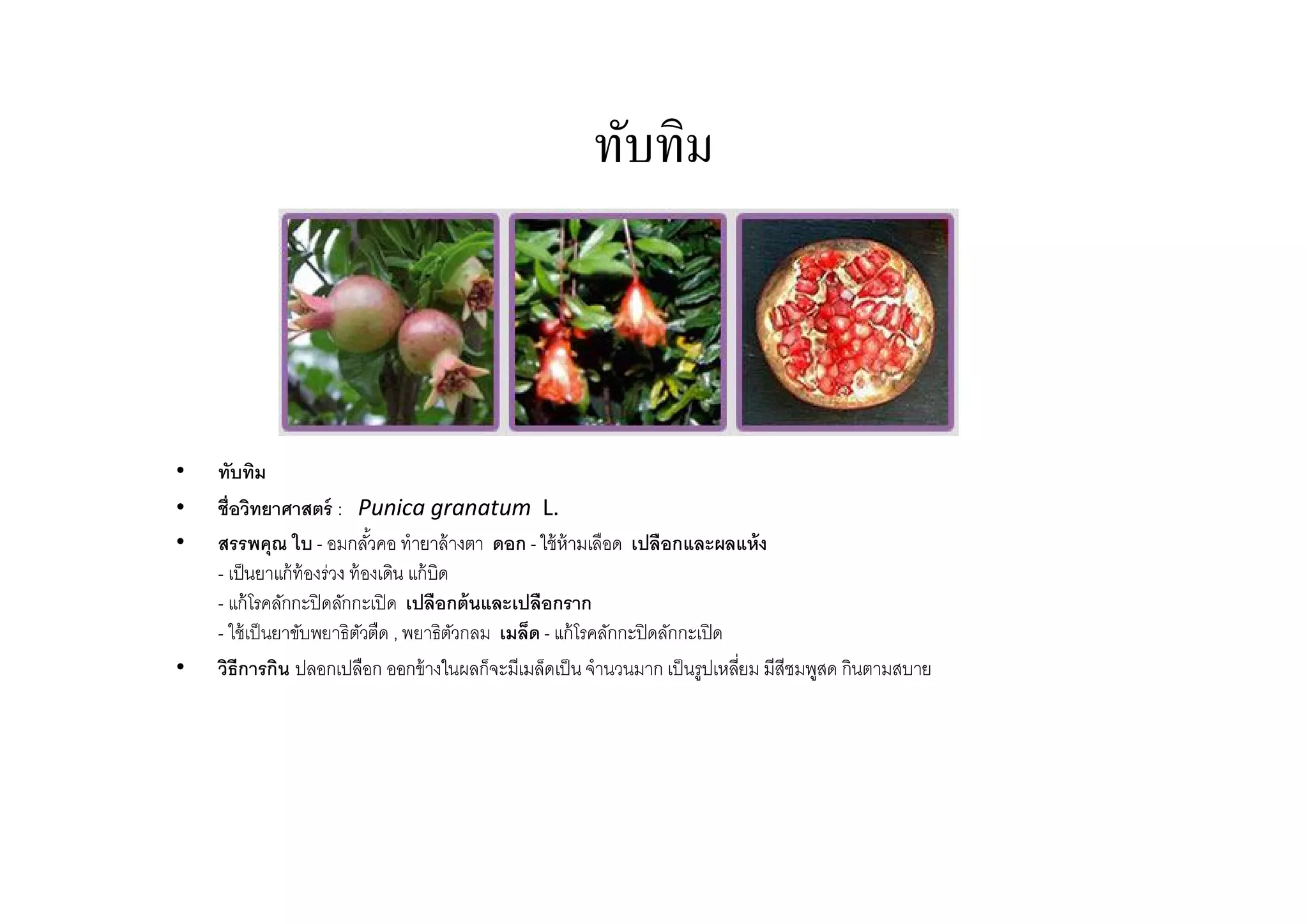 ทับทิม



•   ทับทิม
•   ชือวิทยาศาสตร์ : Punica granatum L.
•   สรรพคุณ ใบ - อมกลัวคอ ทํายาล้ างตา ดอก - ใช้ ห้ามเลือด เปลือกและผลแห้ ง
    - เป็ นยาแก้ ท้องร่วง ท้ องเดิน แก้ บิด
    - แก้ โรคลักกะปิ ดลักกะเปิ ด เปลือกต้ นและเปลือกราก
    - ใช้ เป็ นยาขับพยาธิตวตืด , พยาธิตวกลม เมล็ด - แก้ โรคลักกะปิ ดลักกะเปิ ด
                             ั              ั
•   วิธีการกิน ปลอกเปลือก ออกข้ างในผลก็จะมีเมล็ดเป็ น จํานวนมาก เป็ นรูปเหลียม มีสีชมพูสด กินตามสบาย
 