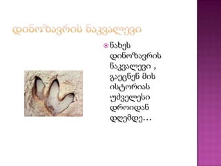  ნახეს
 დინოზავრის
 ნაკვალევი ,
 გაეცნენ მის
 ისტორიას
 უძველესი
 დროიდან
 დღემდე...
 