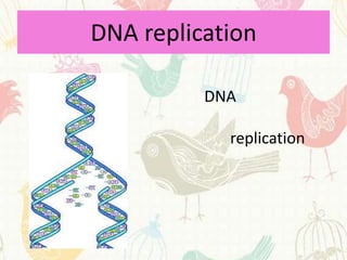DNA replication

          DNA

            replication
 