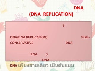 DNA
          (DNA REPLICATION)

                       S


DNA(DNA REPLICATION)               SEMI-
CONSERVATIVE               DNA


          RNA      3
                 DNA
DNA
 