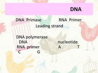 DNA
DNA Primase         RNA Primer
        Leading strand

DNA polymerase
 DNA               nucleotide
RNA primer         A         T
 C       G
 