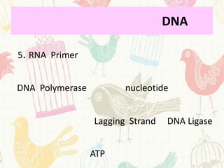 DNA

5. RNA Primer


DNA Polymerase          nucleotide


                 Lagging Strand   DNA Ligase


                 ATP
 