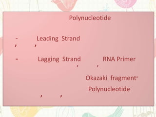 Polynucleotide

-   Leading Strand
’   ’
-       Lagging Strand          RNA Primer
                     ’      ’
                         Okazaki fragment”
                         Polynucleotide
        ’      ’
 