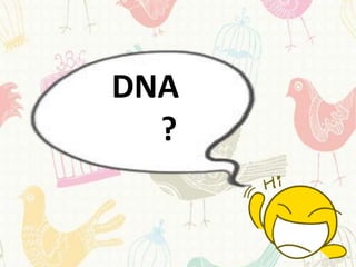 DNA
  ?
 