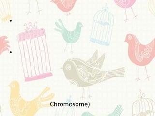•



•




    Chromosome)
 