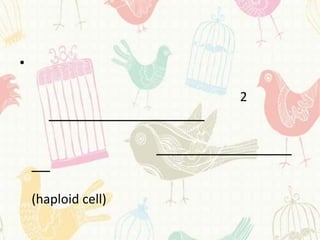 •

                     2




    (haploid cell)
 