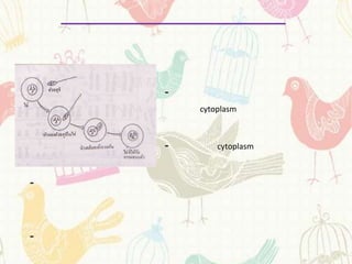 -
        cytoplasm



    -       cytoplasm



-



-
 