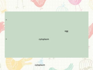 -


                   egg


-      cytoplasm




    cytoplasm
 