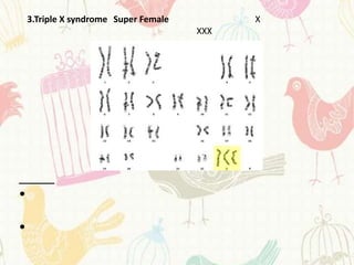 3.Triple X syndrome Super Female         X
                                       XXX




•

•
 