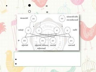 •       =
        =




    •
    •
 