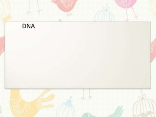 DNA
 