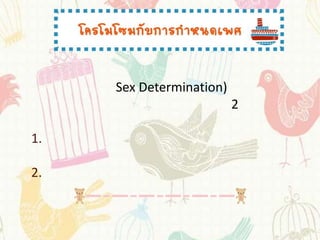 Sex Determination)
                          2

1.

2.
 
