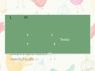 1.   XY



      Y         Y
                        Testis)
      Y             X

-              XY
-         XX
 