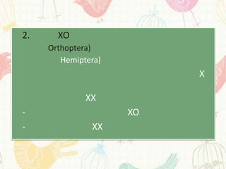 2.     XO
     Orthoptera)
        Hemiptera)
                          X

              XX
-                    XO
-              XX
 