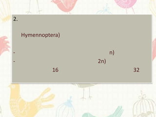 2.

     Hymennoptera)

-                          n)
-                    2n)
               16               32
 