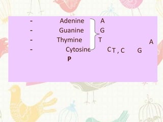 -    Adenine       A
-    Guanine      G
-   Thymine       T                 A
-      Cytosine        CT , C   G
       P
 