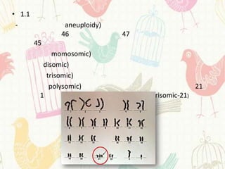 • 1.1
 -             aneuploidy)
              46             47
        45
             momosomic)
          disomic)
           trisomic)
            polysomic)                            21
         1                    47   trisomic-21)
 