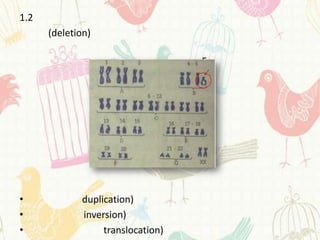 1.2
      (deletion)

                                   5




•            duplication)
•            inversion)
•                 translocation)
 