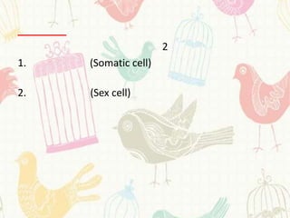 2
1.   (Somatic cell)

2.   (Sex cell)
 