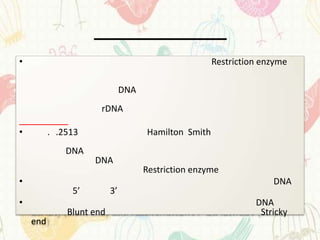 •                                                     Restriction enzyme

                               DNA
                      rDNA

•         . .2513                    Hamilton Smith
              DNA
                    DNA
                                     Restriction enzyme
•                                                                   DNA
               5’         3’
•                                                               DNA
              Blunt end                                          Stricky
    end
 