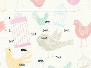 • 1.
                          DNA

• 2.                  DNA             DNA
              DNA
                     DNA
  DNA

• 3.    DNA

                                DNA
                    DNA
        DNA
 