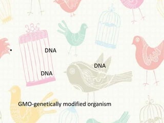 •            DNA

                              DNA
            DNA



    GMO-genetically modified organism
 