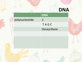 DNA
                 DNA
polynucleotide   2
                 TAGC
                 Deoxyribose
 