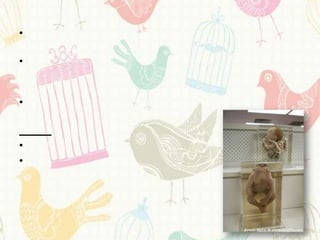 •

•


•



•
•
 