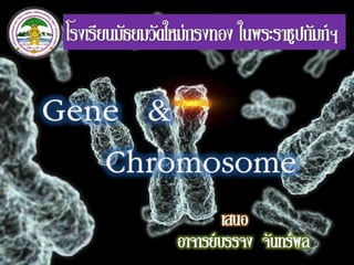 Gene & Chromosom
 