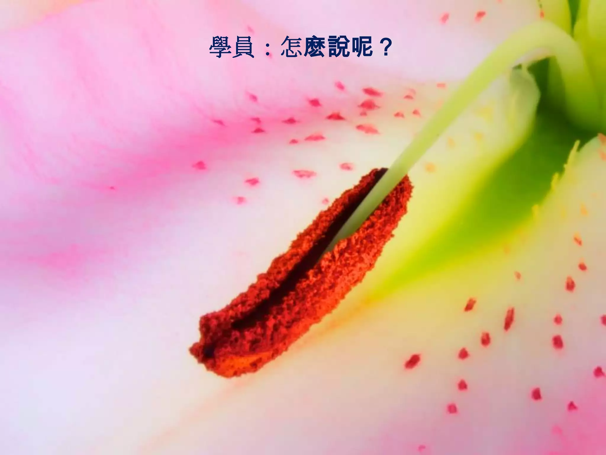 學員：怎麽說呢？
 