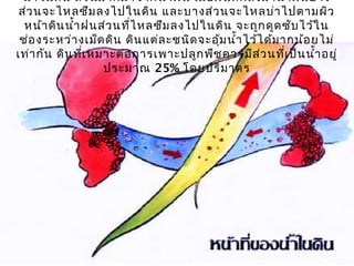 นำ้า ในดิน ส่ว นมากมาจากนำ้า ฝน เมื่อ ฝนตกลงมานำ้า ฝนบาง
 ส่ว นจะไหลซึม ลงไปในดิน และบางส่ว นจะไหลบ่า ไปตามผิว
  หน้า ดิน นำ้า ฝนส่ว นที่ไ หลซึม ลงไปในดิน จะถูก ดูด ซับ ไว้ใ น
 ช่อ งระหว่า งเม็ด ดิน ดิน แต่ล ะชนิด จะอุ้ม นำ้า ไว้ไ ด้ม ากน้อ ยไม่
เท่า กัน ดิน ที่เ หมาะต่อ การเพาะปลูก พืช ควรมีส ่ว นที่เ ป็น นำ้า อยู่
                    ประมาณ 25% โดยปริม าตร
 