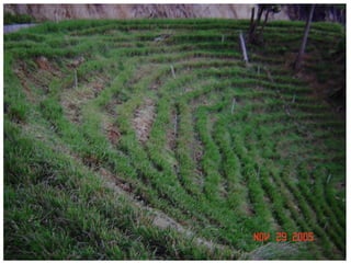 ความลับของดิน