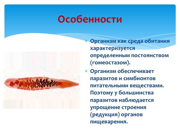 приспособления паразитов к жизни в организме хозяина приспособления паразитов к жизни в организме хозяина