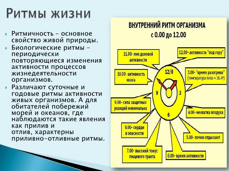 Анальный гель-лубрикант Bioritm Intim in the city Anal на водной основе, 60 мл LB-60001 - Биоритм - Анальные смазки - Купить