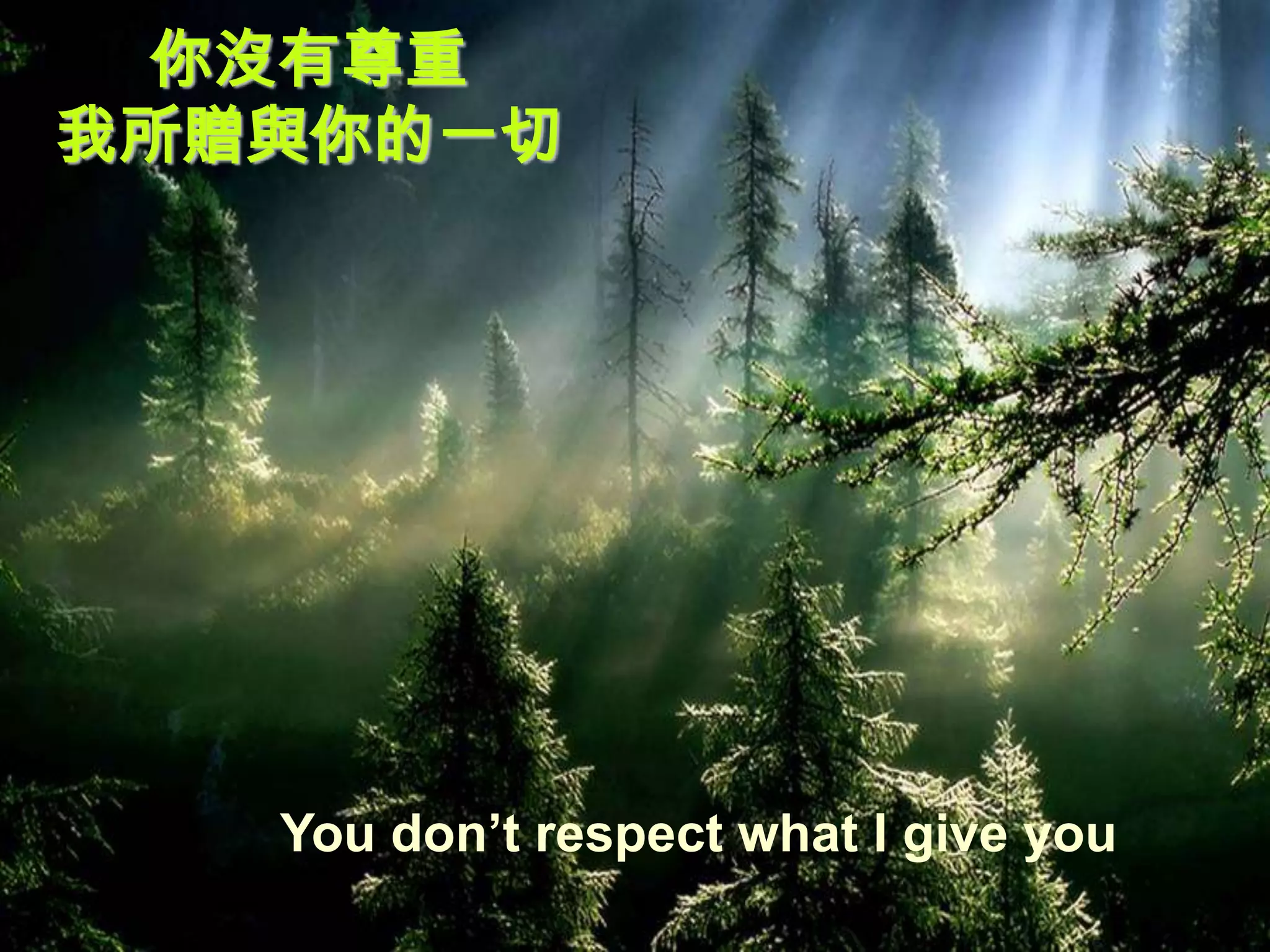 你沒有尊重
我所贈與你的一切




   You don’t respect what I give you
 