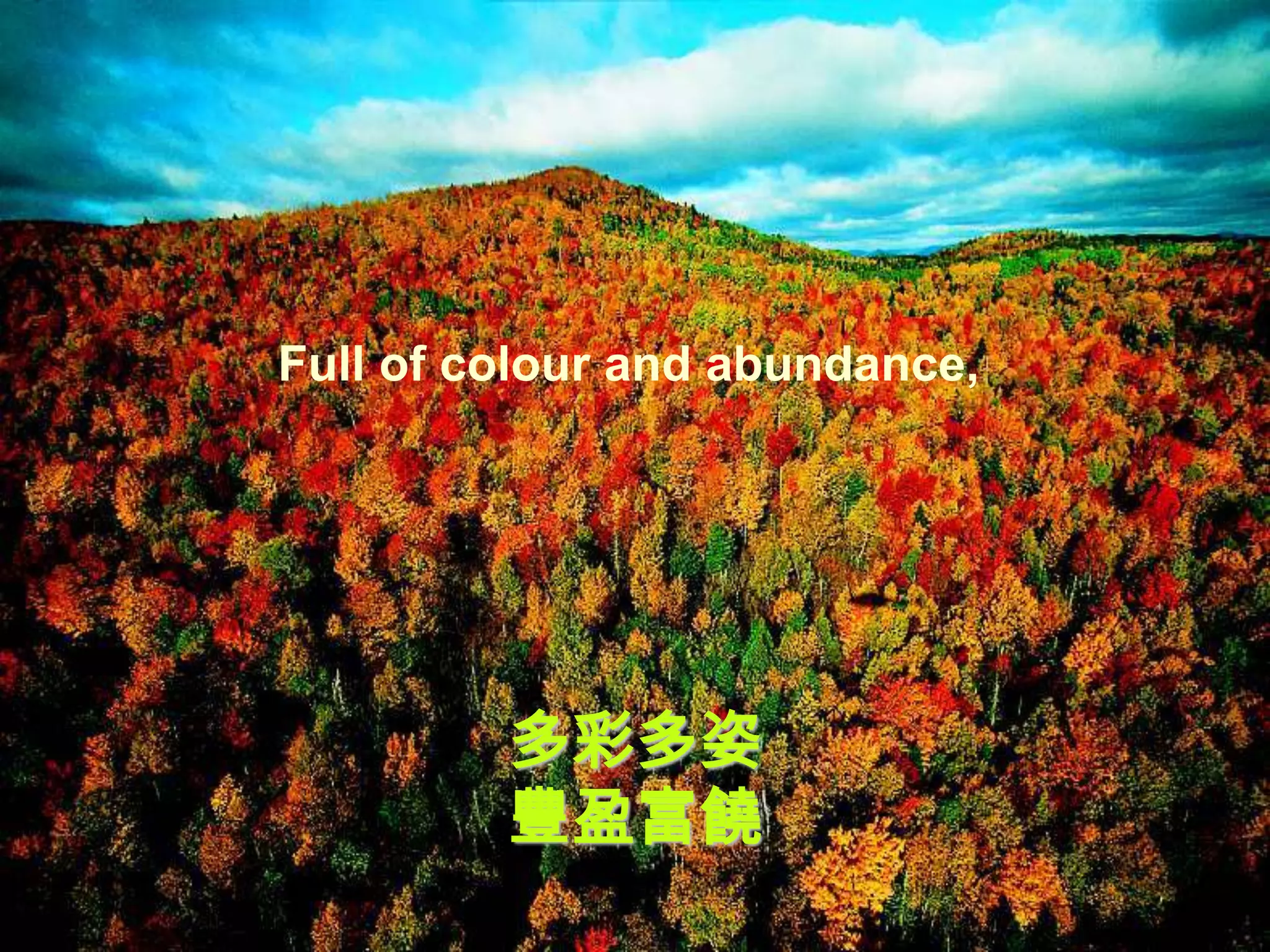 Full of colour and abundance,




         多彩多姿
         豐盈富饒
 