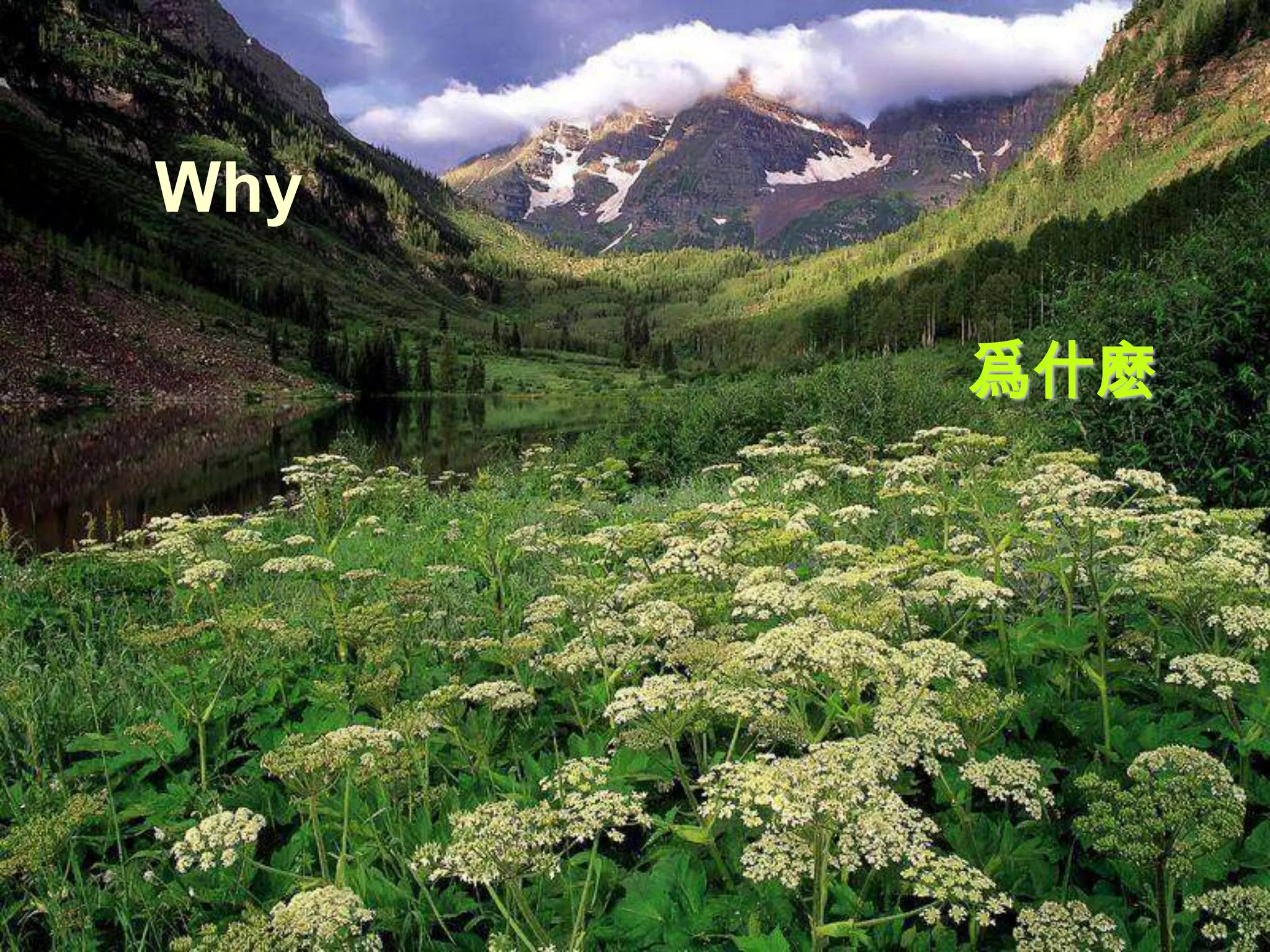 Why

      爲什麽
 