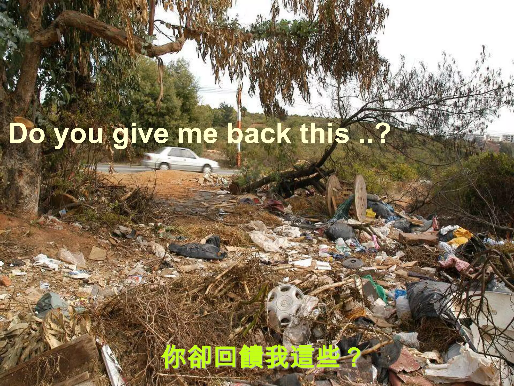 Do you give me back this ..?




           你卻回饋我這些？
 