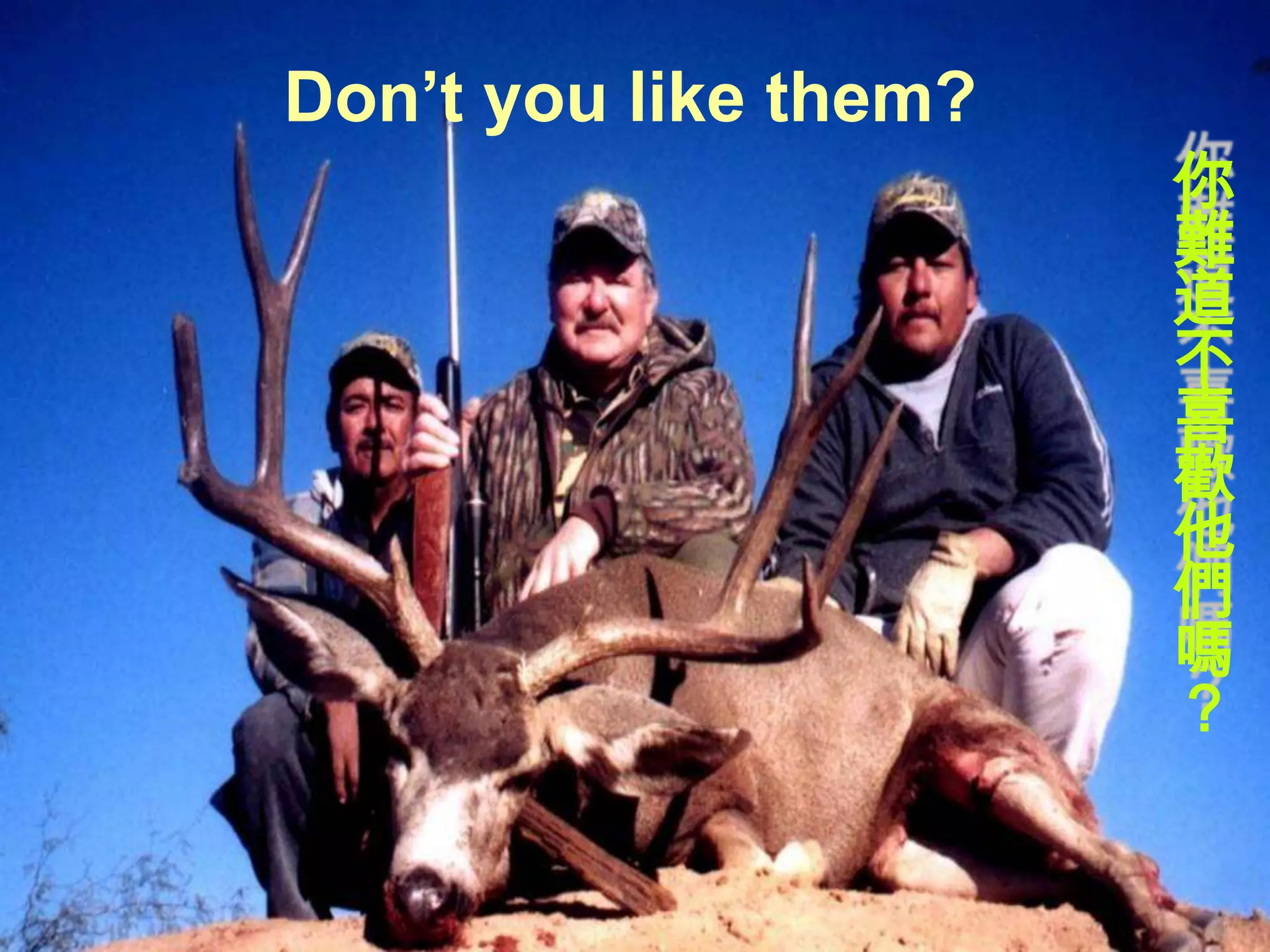 Don’t you like them?
                       你
                       難
                       道
                       不
                       喜
                       歡
                       他
                       們
                       嗎
                       ？
 