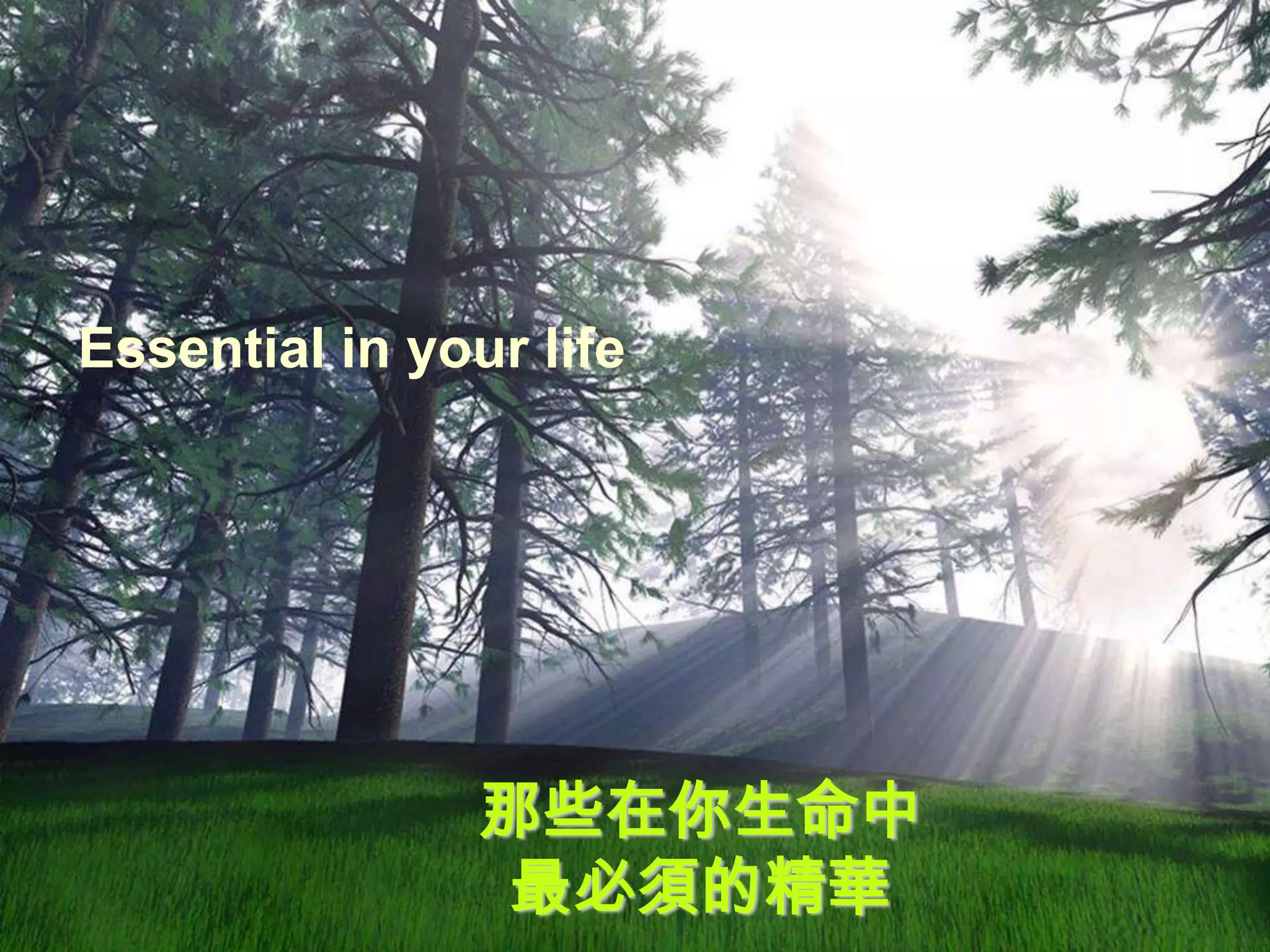 Essential in your life




                那些在你生命中
                最必須的精華
 