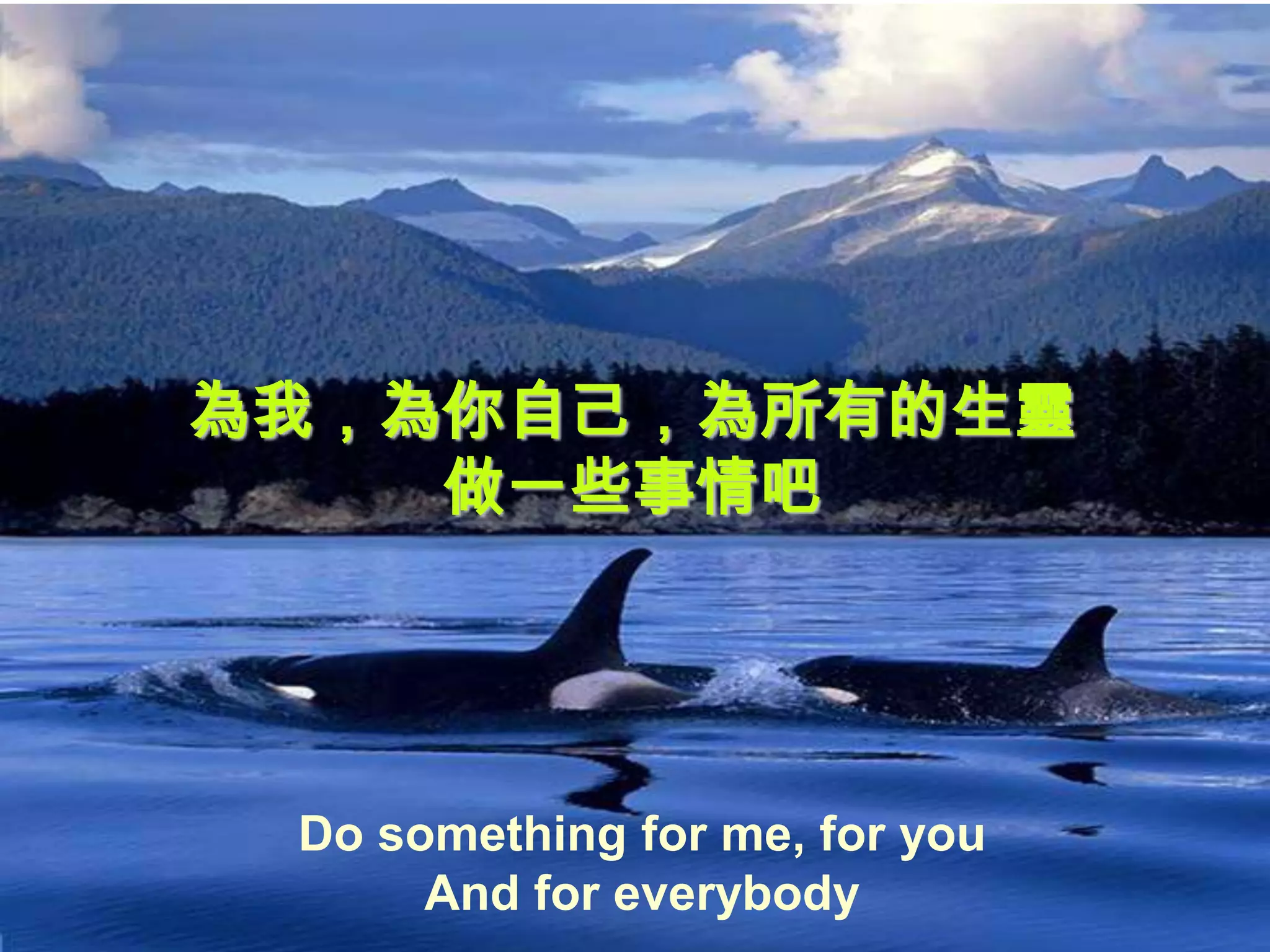 為我，為你自己，為所有的生靈
    做一些事情吧




 Do something for me, for you
      And for everybody
 